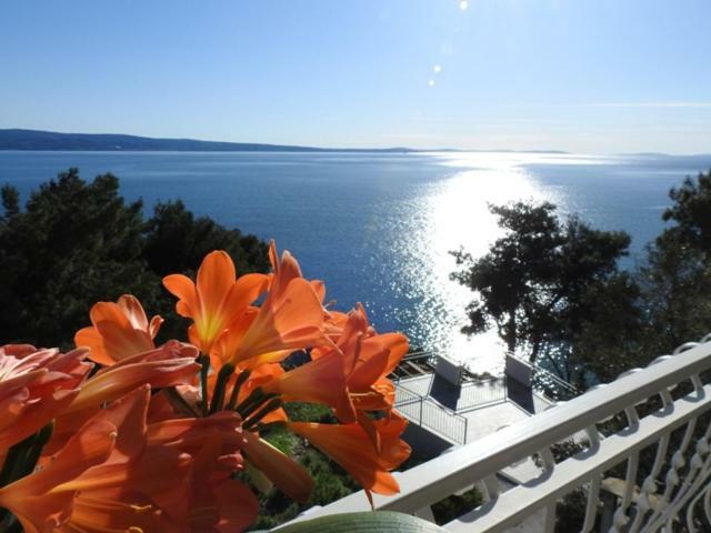 Sunrise Vid Apartment Dugi Rat Bagian luar foto